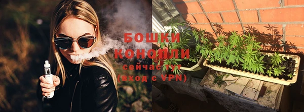 индика Семилуки