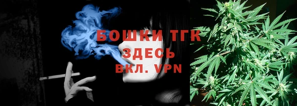 индика Семилуки