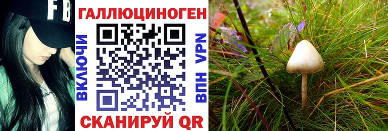 Псилоцибиновые грибы MAGIC MUSHROOMS  Мариинский Посад 